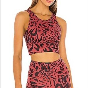 Strut-This Piper Sports Bra in Auburn Cheetah